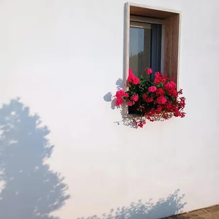 Dimora Monsignore Appartement