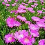 Dimora Monsignore 公寓 托雷拉皮罗